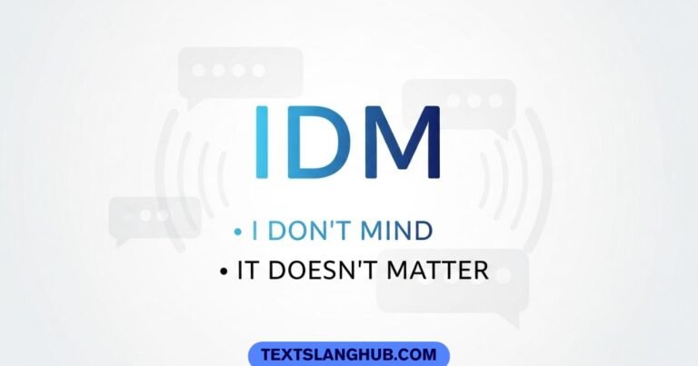 idm meaning in text
