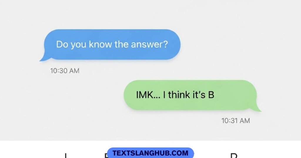 what does imk mean in text example chat showing i might know usage