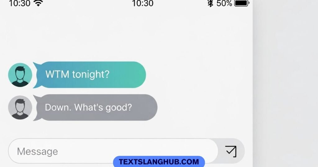 WTM meaning in text shown in a chat example asking about plans
