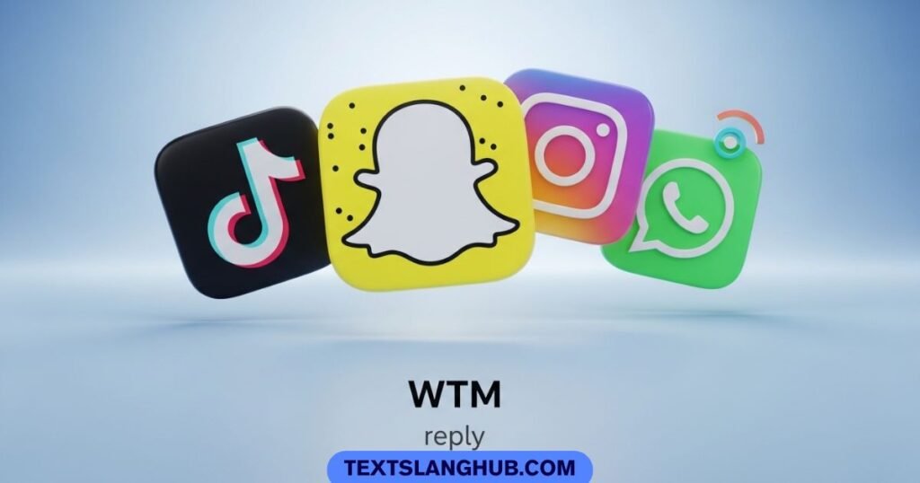 WTM meaning in social media apps like Snapchat Instagram TikTok and WhatsApp
